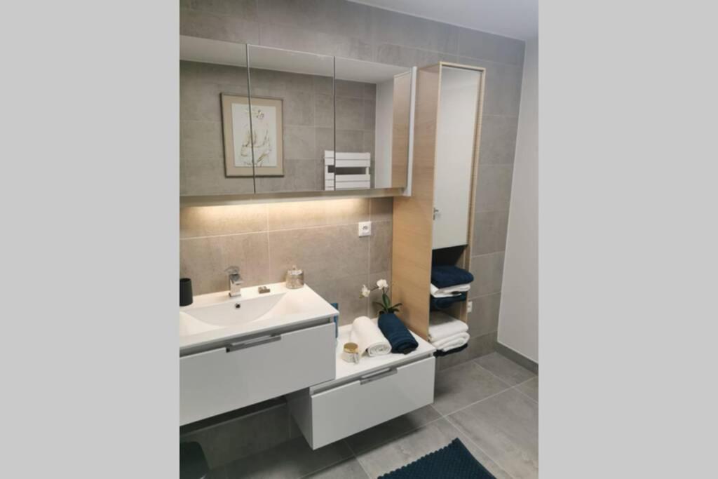 Magnifique F3, 75M² Avec Parking Prive Et Terrasse Διαμέρισμα Στρασβούργο Εξωτερικό φωτογραφία